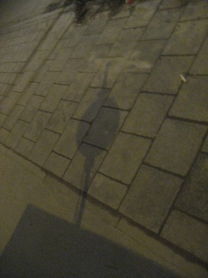 Shadow on pavement